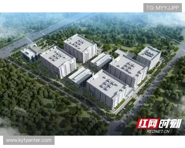 访问开云集团官网了解其全球战略布局与未来发展规划